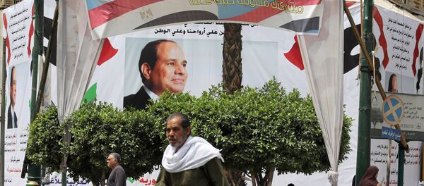 لافتات التعديلات الدستورية في مصر - سبوتنيك عربي