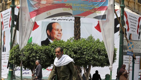لافتات التعديلات الدستورية في مصر - سبوتنيك عربي