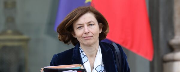 وزيرة الجيوش الفرنسية فلورانس بارلي وزيرة الجيوش الفرنسية فلورانس بارلي - سبوتنيك عربي