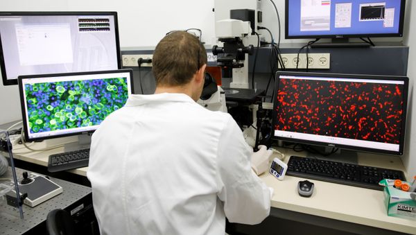 علماء إسرائيليون من جامعة تل أبيب ينجحون في تخليق أول قلب بشري ثلاثي الأبعاد في العالم، أثناء خلال العرض في أحد مختبرات الجامعة، إسرائيل، 15 أبريل/ نيسان 2019 علماء إسرائيليون من جامعة تل أبيب ينجحون في تخليق أول قلب بشري ثلاثي الأبعاد في العالم، أثناء خلال العرض في أحد مختبرات الجامعة، إسرائيل، 15 أبريل/ نيسان 2019 - سبوتنيك عربي