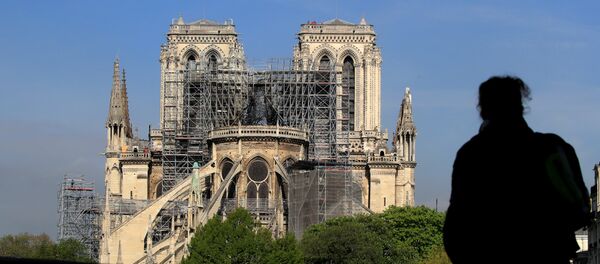 كاتدرائية نوتردام - سبوتنيك عربي
