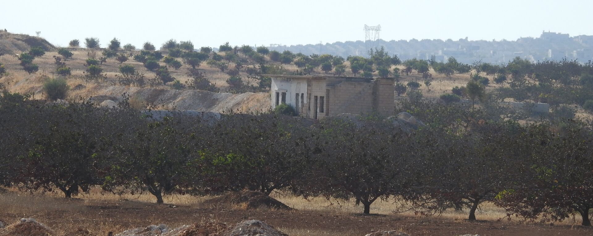 الجولاني يظهر مجددا في إدلب استعدادا لـمعركة الوجود أو الزوال - سبوتنيك عربي, 1920, 05.04.2023