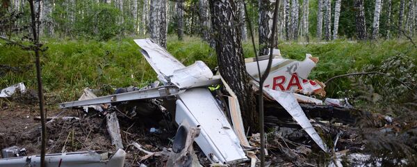 تحطم طائرة خفيفة  - سبوتنيك عربي