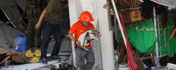 زلزال الفلبين  - سبوتنيك عربي