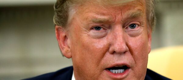 الرئيس الأمريكي دونالد ترامب - سبوتنيك عربي