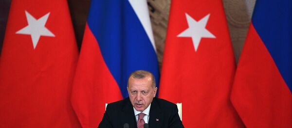 الرئيس التركي رجب طيب أردوغان - سبوتنيك عربي