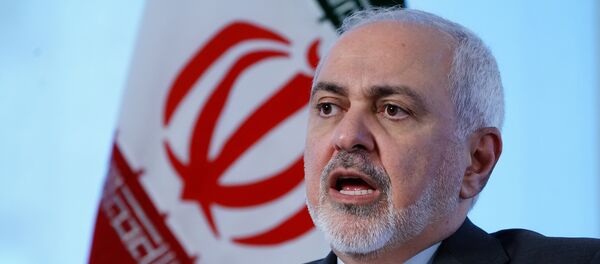 وزير الخارجية الإيراني محمد جواد ظريف - سبوتنيك عربي