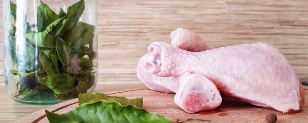 دجاج - سبوتنيك عربي