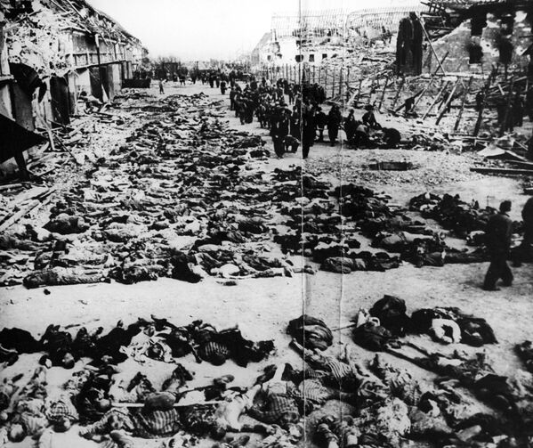 إطلاق النار على 2000 سجين في معسكر النازيين بشكل عاجل  في أراضي إستونيا المحتلة خلال الحرب العالمية الثانية، عام 1944 - سبوتنيك عربي