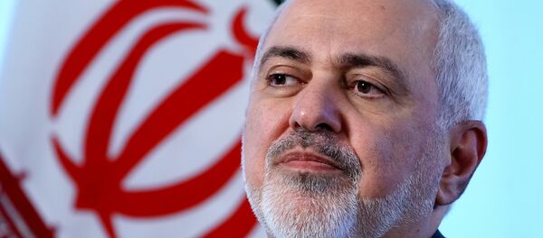 وزير الخارجية الإيراني محمد جواد ظريف - سبوتنيك عربي