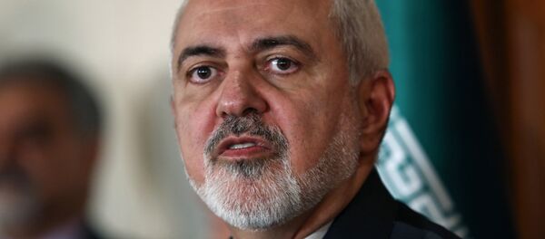 وزير الخارجية الإيراني محمد جواد ظريف - سبوتنيك عربي