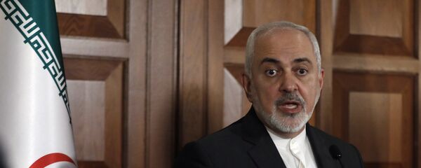 وزير الخارجية الإيراني محمد جواد ظريف - سبوتنيك عربي