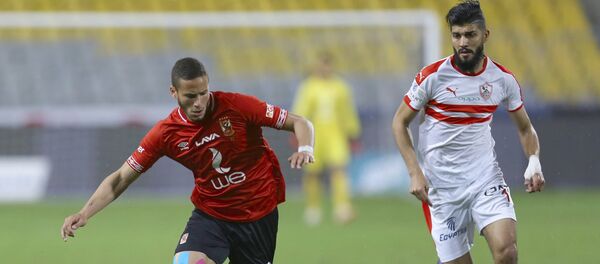 فرجاني ساسي - سبوتنيك عربي