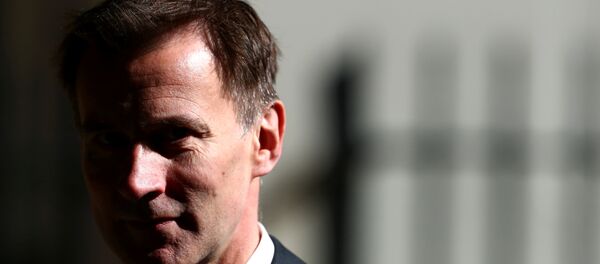 جيرمي هانت - سبوتنيك عربي