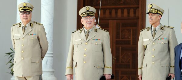 رئيس أركان الجيش الجزائري الفريق أحمد قايد صالح - سبوتنيك عربي