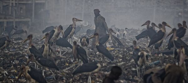 امرأة تنظف مواد قابلة لإعادة التدوير من القمامة من أجل لقمة العيش من خلال سحابة من الدخان من القمامة المحترقة وتحيط بها اللقالق التي تتغذى على القمامة في مكب الأحياء الفقيرة في نيروبي بكينيا - سبوتنيك عربي