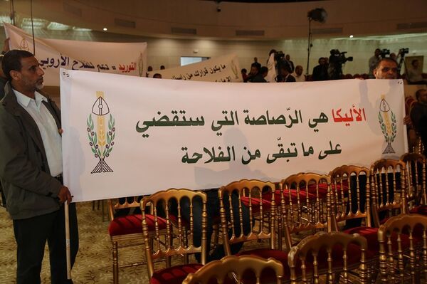 اتفاقية الأليكا في تونس - سبوتنيك عربي