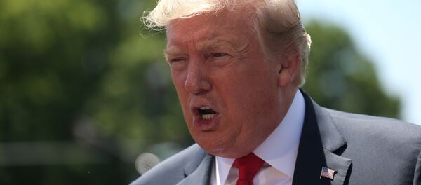 الرئيس الأمريكي دونالد ترامب، واشنطن 24 مايو/ أيار 2019 - سبوتنيك عربي