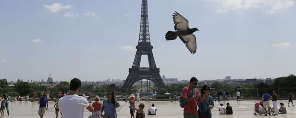 برج إيفل في باريس، فرنسا - سبوتنيك عربي