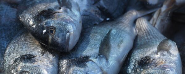 مهرجان أسبوع السمك في موسكو - سبوتنيك عربي