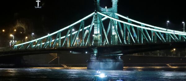 قارب إنقاذ على نهر الدانوب بعد انقلاب قارب سياحي في بودابست قارب إنقاذ على نهر الدانوب بعد انقلاب قارب سياحي في بودابست - سبوتنيك عربي