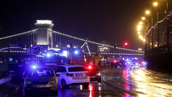 الشرطة ومركبات الإطفاء على ضفة الدانوب بعد انقلاب قارب سياحي على النهر في بودابست - سبوتنيك عربي