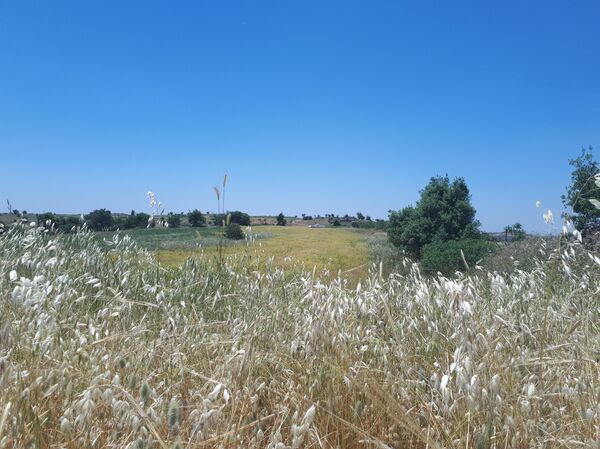 دبابات إسرائيلية تخترق خط ألفا في الجولان - سبوتنيك عربي