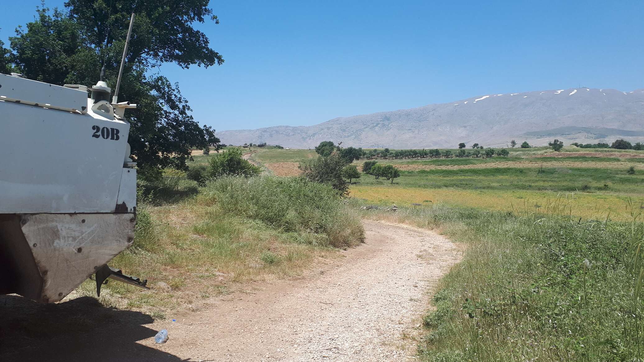 إعلام: السنديان السوري ضحية مشروع بيئي مثير للجدل تنفذه إسرائيل