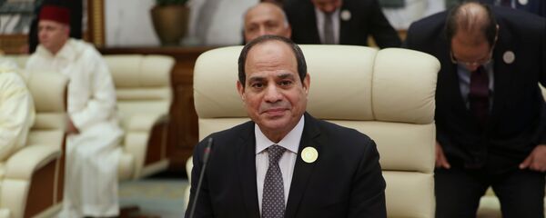 الرئيس المصري عبد الفتاح السيسي - سبوتنيك عربي