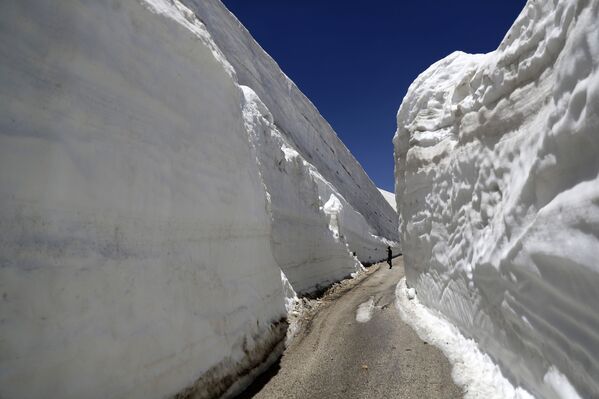 مواطنون يلتقطون صوراً على طريق محاط بجدران من الثلج تبلغ ارتفاعها 10 أمتار، في 28 مايو/ أيار 2019، في قرية عيناتا الأرز شمال لبنان، على ارتفاع 1620 متر فوق مستوى سطح البحر. يذكر أنه تمت تصليح الطريق مؤخرًا واعداده لسماح السيارات بالوصول إليه. - سبوتنيك عربي