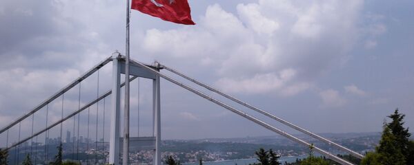 العلم التركي  - سبوتنيك عربي