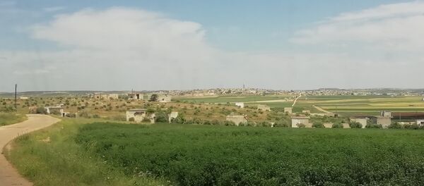 منطقة حماة السورية - سبوتنيك عربي