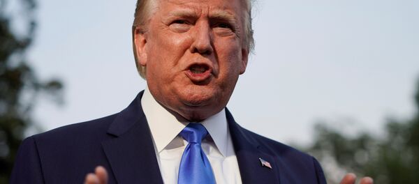 الرئيس الأمريكي دونالد ترامب - سبوتنيك عربي