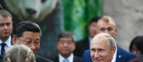 الرئيسان الروسي فلاديمير بوتين والصيني شي جين بينغ، يزوران الجناح الجديد لحديقة حيوان موسكو، حيث يوجد اثنان من دببة الباندا قدمتهما الصين - سبوتنيك عربي