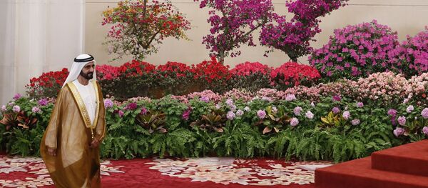 محمد بن راشد آل مكتوم، نائب رئيس دولة الإمارات العربية المتحدة ورئيس مجلس الوزراء بدولة الإمارات العربية المتحدة وحاكم إمارة دبي، 2019 - سبوتنيك عربي