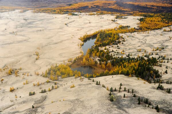 رمال تشارا ووادي تشارا في زابايكالسكي كراي - سبوتنيك عربي