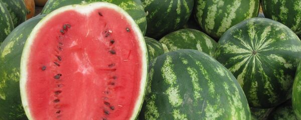 البطيخ - سبوتنيك عربي