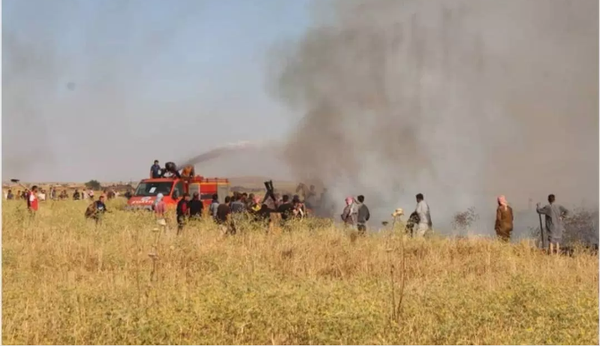 حريق حقول القمح في محافظة نينوى في العراق - سبوتنيك عربي