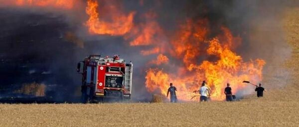 الحرائق تجتاح تونس وتهدد المحاصيل الزراعية - سبوتنيك عربي