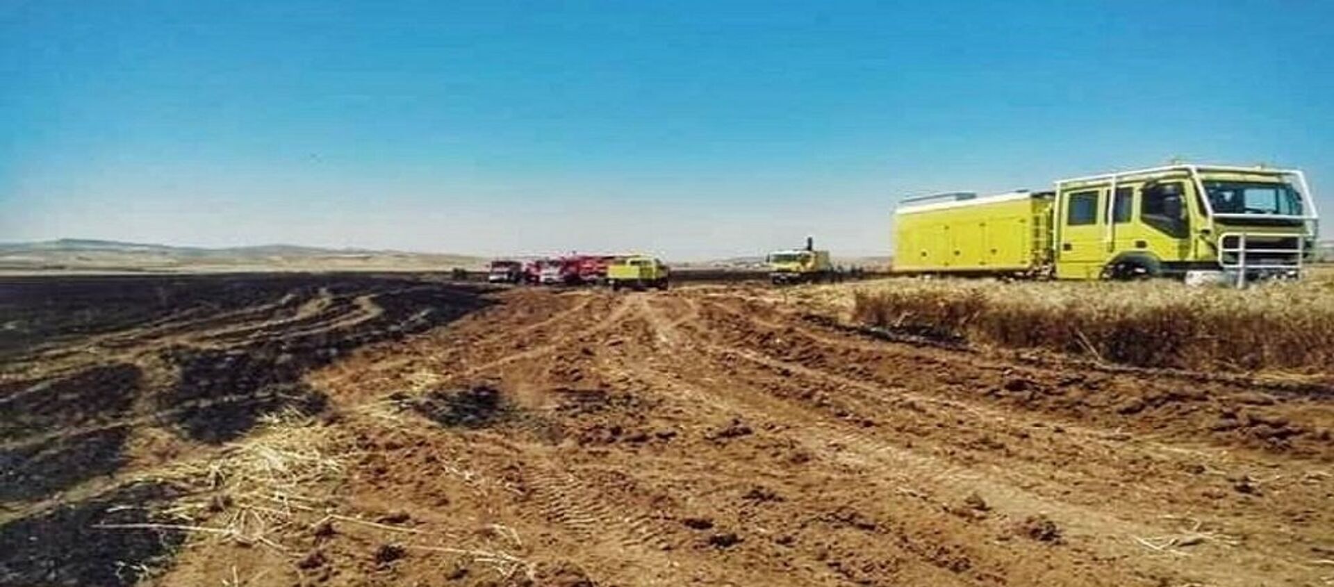 الحرائق تجتاح تونس وتهدد المحاصيل الزراعية - سبوتنيك عربي, 1920, 11.06.2019