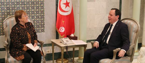 وزير الخارجية التونسي خميس الجيناوي و المفوضية السامية للامم المتحدة لحقوق الانسان ميشال باشليه - سبوتنيك عربي
