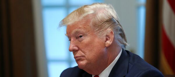 الرئيس الأمريكي دونالد ترامب الرئيس الأمريكي دونالد ترامب - سبوتنيك عربي