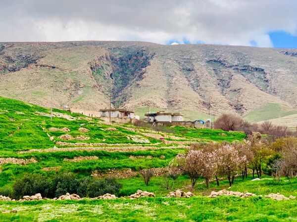 قضاء سنجار، العراق يونيو/ حزيران 2019 قضاء سنجار، العراق يونيو/ حزيران 2019 - سبوتنيك عربي