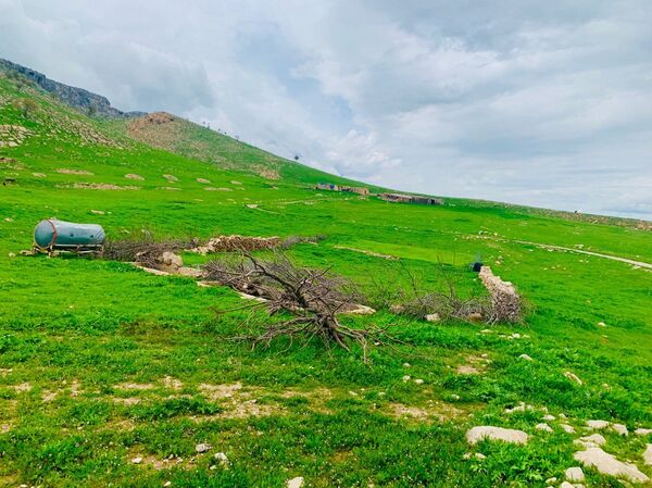 قضاء سنجار، العراق يونيو/ حزيران 2019 قضاء سنجار، العراق يونيو/ حزيران 2019 - سبوتنيك عربي