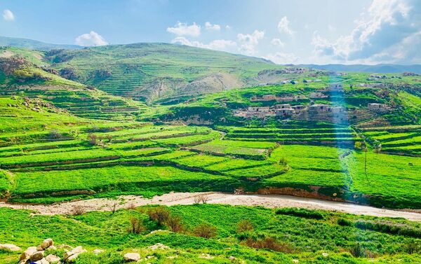 قضاء سنجار، العراق يونيو/ حزيران 2019 قضاء سنجار، العراق يونيو/ حزيران 2019 - سبوتنيك عربي