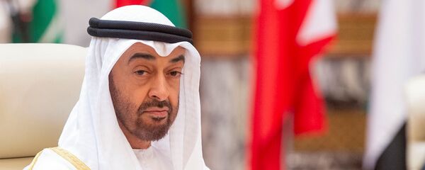 محمد بن زايد آل نهيان - سبوتنيك عربي