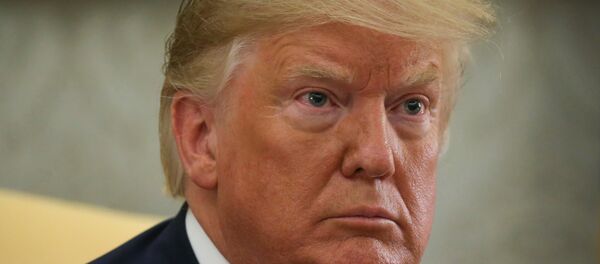 الرئيس الأمريكي دونالد ترامب - سبوتنيك عربي