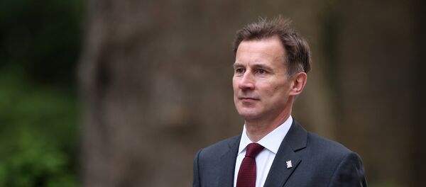 وزير الخارجية البريطاني جيريمي هانت وزير الخارجية البريطاني جيريمي هانت - سبوتنيك عربي