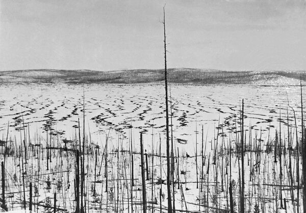 منطقة انفجار نيزك تونغوسك منطقة انفجار نيزك تونغوسك - سبوتنيك عربي