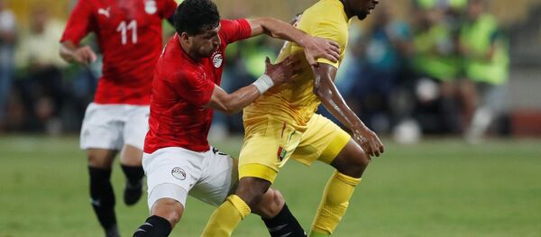 منتخب مصر - سبوتنيك عربي